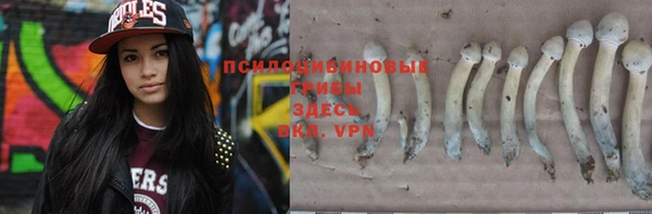 соль ск Балахна