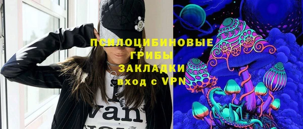 соль ск Балахна