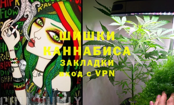 ГАЛЛЮЦИНОГЕННЫЕ ГРИБЫ Баксан