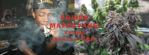 ГАЛЛЮЦИНОГЕННЫЕ ГРИБЫ Баксан
