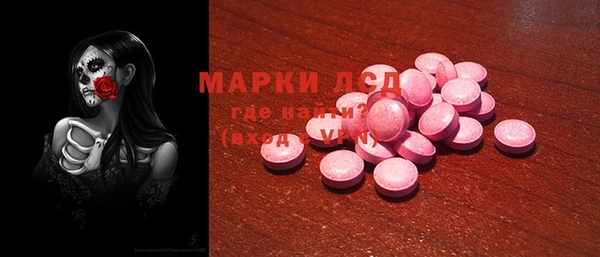 индика Покачи